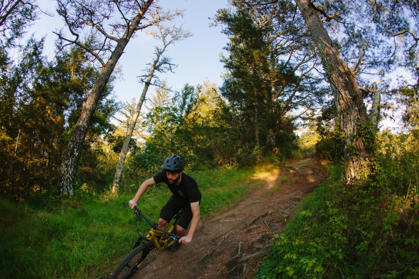 fi'zi:k terra ergolace x2 - nitpicking aside, we're always happy to get out on the trails, and...