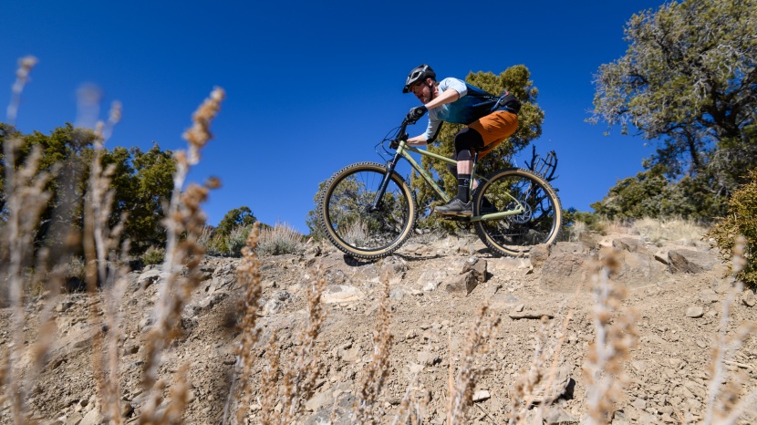 hardtail mountain bike - the steel frame takes the edge off of chattery trails. steel is real.