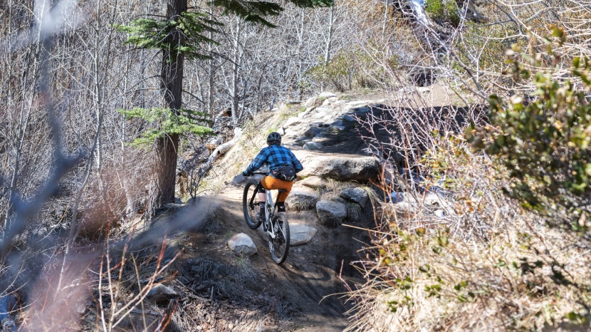 ibis ripmo af nx eagle - plenty of gears on tap for the steep punches and limitless traction...