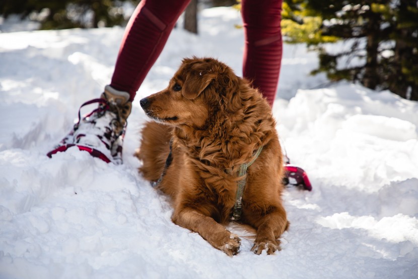 atlas elektra rendezvous - we had so much fun the the rendezvous! they really are the perfect...