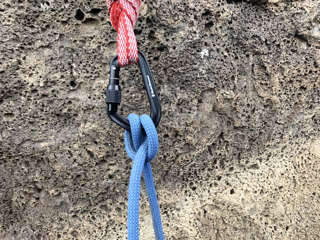 black diamond hotforge screwgate - the hotforge screwgate is a no-frills, full-sized offset-d that does...