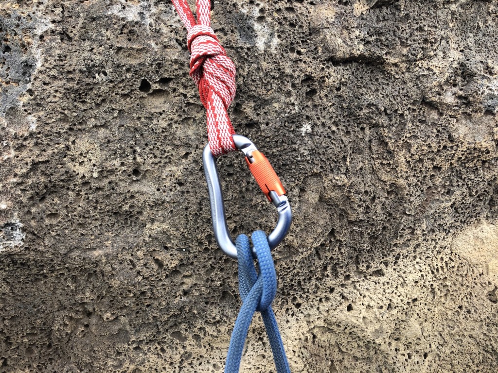 black diamond rocklock twistlock - the rocklock twistlock is a very large, round stock hms style...