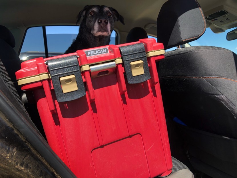 pelican 20 elite - though we don't love this cooler's performance, it is easy to throw...