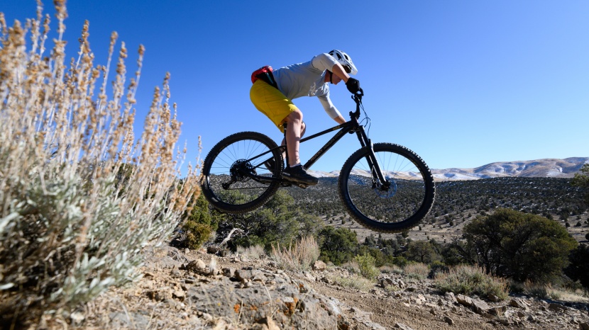 hardtail mountain bike - geometry is critical. some hardtails, like the rocky mountain...