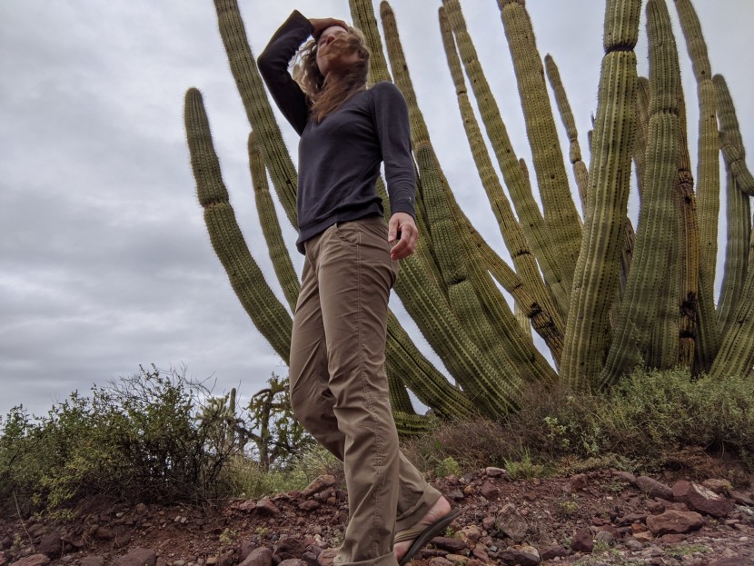 marmot kodachrome - the kodachromes are a solid option for casual adventures in warm...