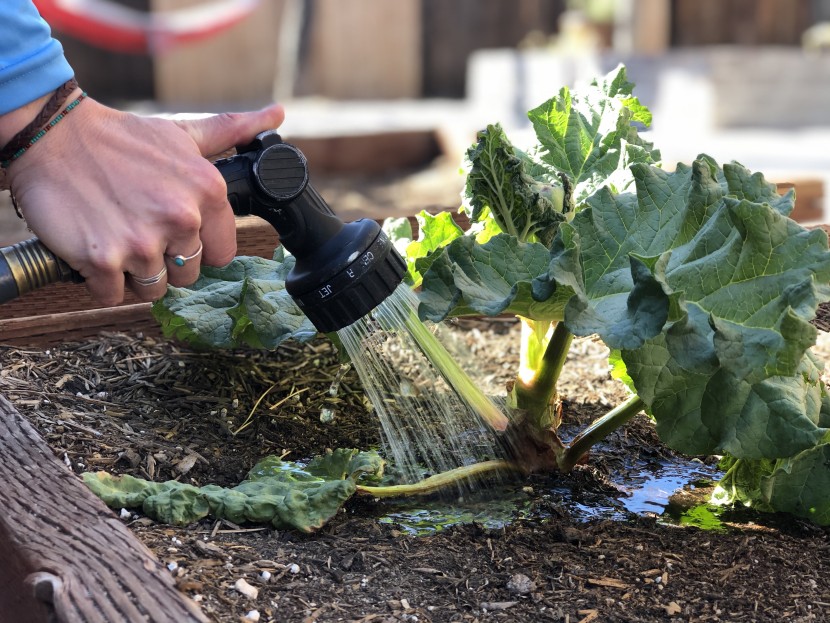 baleaf upf 50 crew for women - a simple design, the baleaf comes in a rainbow of colors.