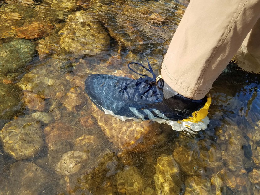 adidas terrex summer.rdy voyager speed - these shoes offer high performance at a reasonable price.