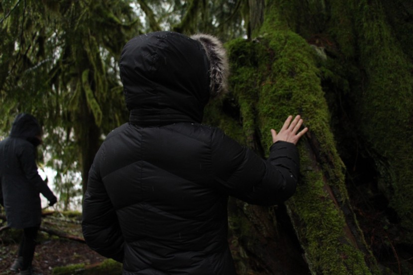 marmot montreaux - we did get one tiny snag in this jacket over months of testing. but...