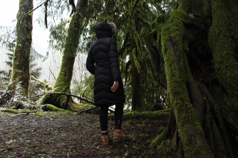 marmot montreaux - we love the easy, comfortable elegance of the montreaux.