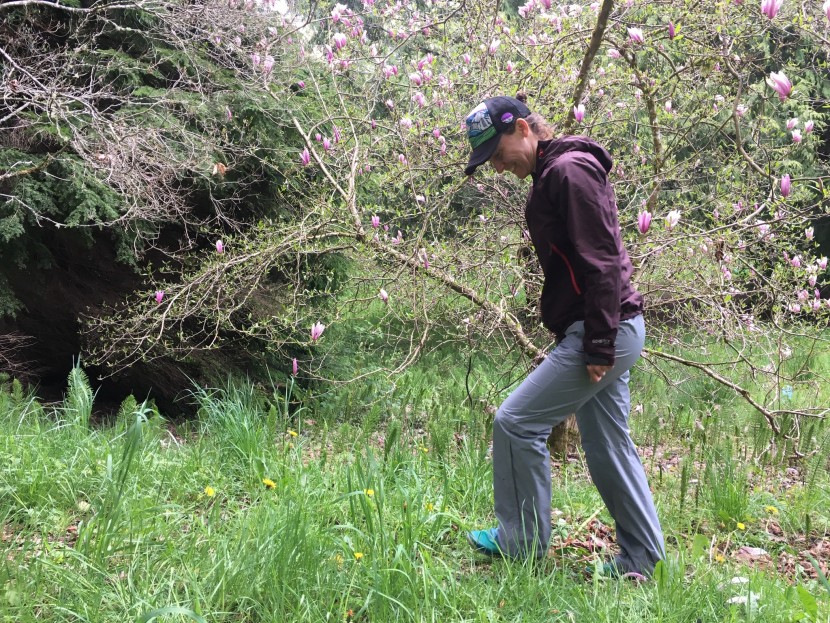 the north face venture 2 half zip for women - the venture 2 are lovely for hiking in inclement weather, and light...