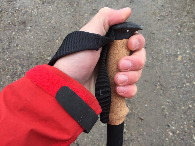 black diamond alpine flz - the alpine flz uses bd's comfortable cork trekking grip, which...