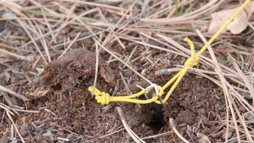 ultralight tent - be sure you bring stakes that are high quality with notches in the...