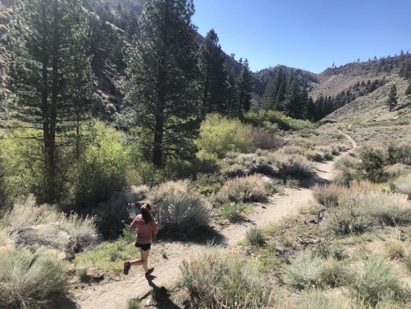 smartwool merino sport ultra light hoody for women - the merino sport was an awesome choice for this brisk spring morning...