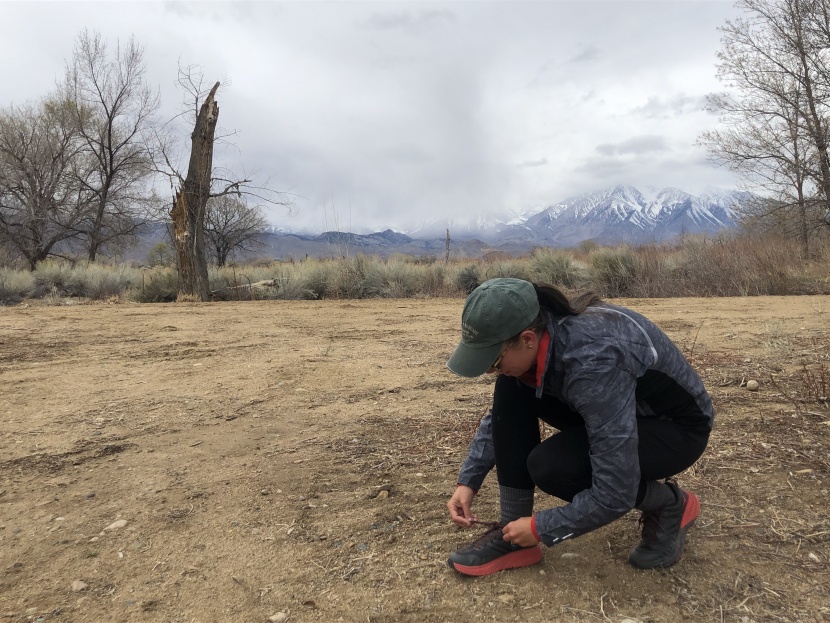 icebreaker cool-lite rush - the cool-lite rush was the perfect layer for this stormy bishop day.