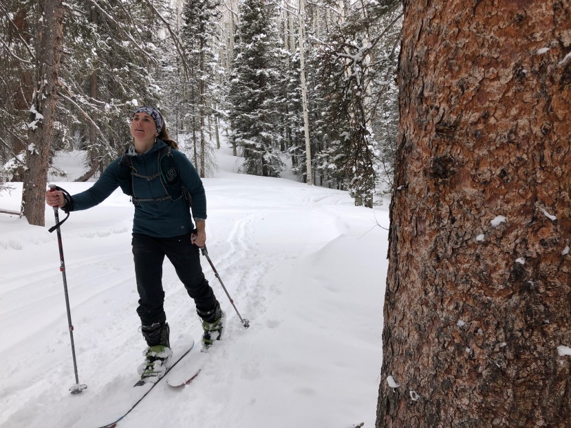 mountain hardwear type 2 fun 3/4 zip hoody for women - we get a little sidetracked on this backcountry ski mission, looking...