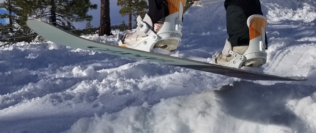 capita birds of a feather - true to its name, we could tell this board wanted to take flight...