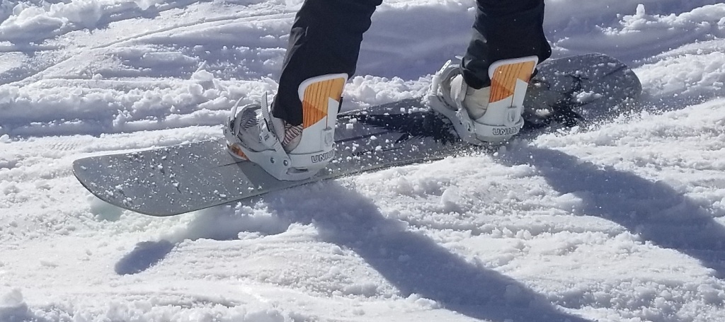 capita birds of a feather - while it isn't the best at speed, we were pleasantly surprised with...