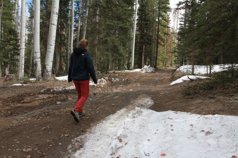 the north face denali 2 hoody for women - claire takes a winter stroll amongst the aspens and pines while the...