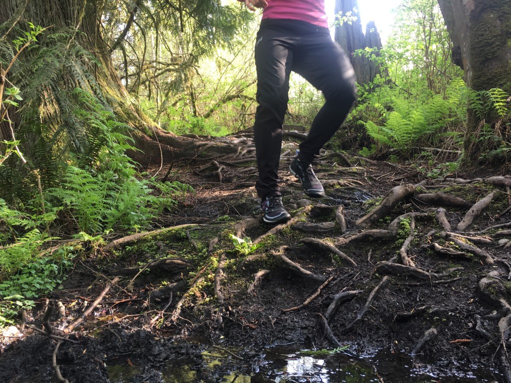 new balance minimus trail 10v1 for women - glad to have a little more shoe underfoot when the trail gets...