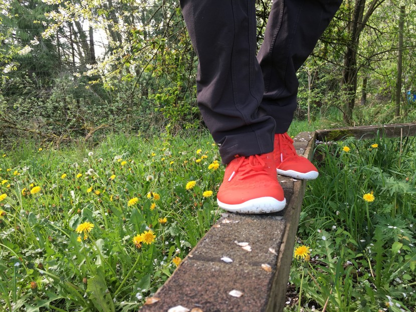 vivobarefoot stealth iii for women - the stealth iii shoes are fun and stylish, but perhaps a bit pricey...