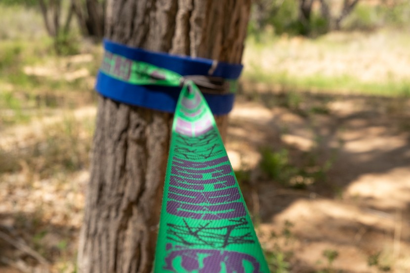 slackline industries aggro line - the webbing is full of bounce for dynamic fun.