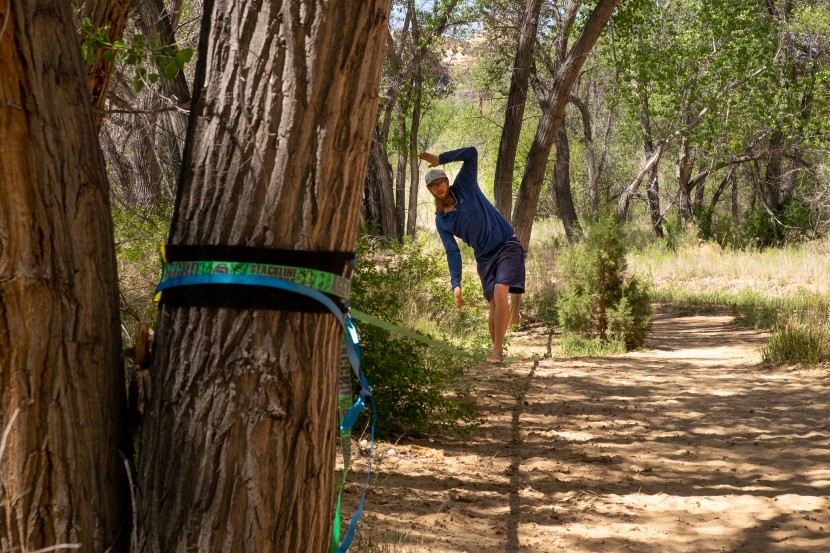 slackline - this round of testing was done amongst the cottonwoods of southern...