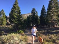 under armour ua tech v-neck for women