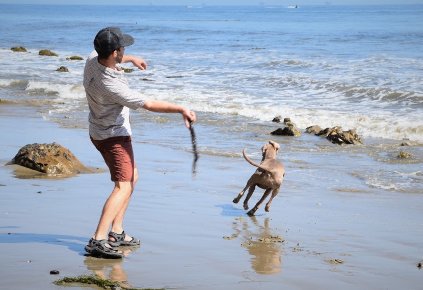 sandals mens - the right sandals will provide versatile comfort across a wide...