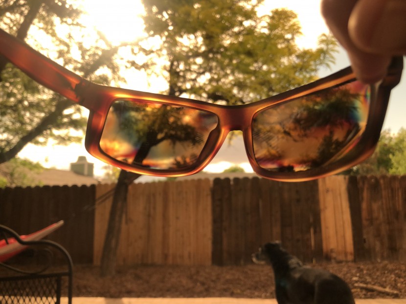 arnette corner man - as viewed through another pair of polarized lenses (in this case...