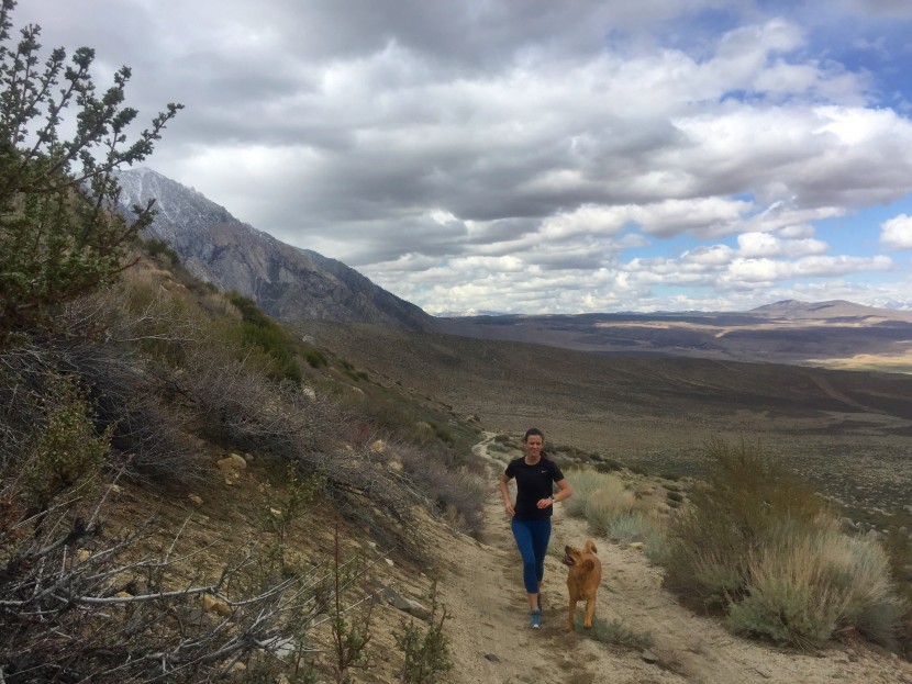 nike miler - at home on both trails and roads, the miler kept us comfortable in...