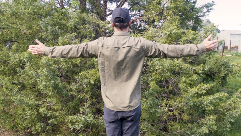 impressively, the sleeves of this shirt don't leave our wrists...