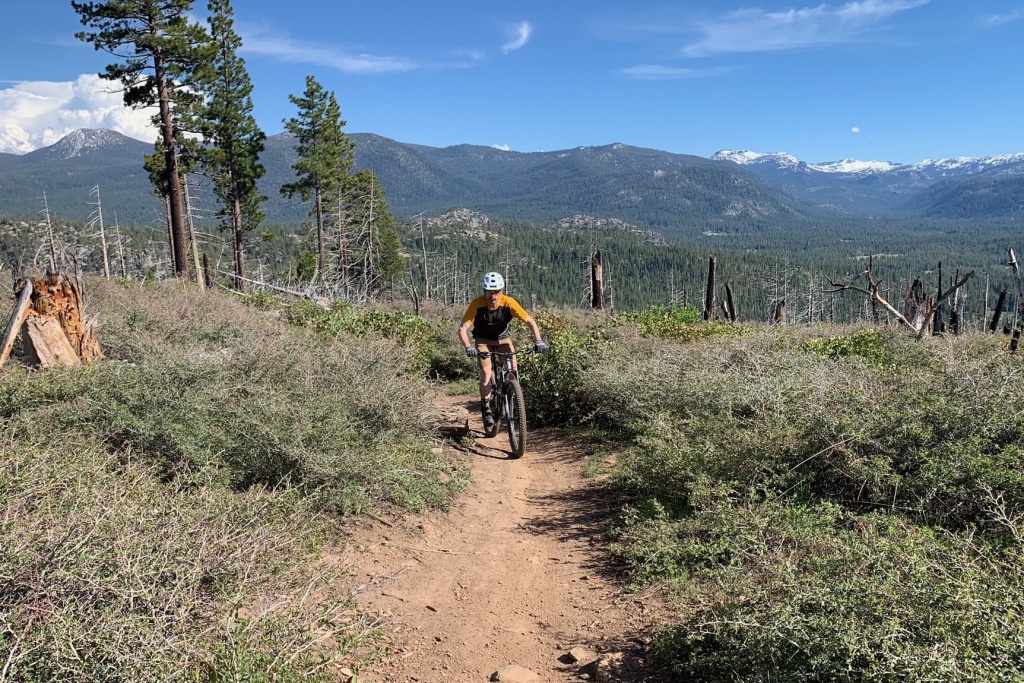 spank oozy 220 - if you don't mind the added weight, we feel the oozy 220 is an...