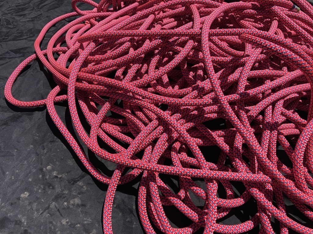 edelrid boa pro dry - the boa pro dry is the definition of a workhorse rope, and after...