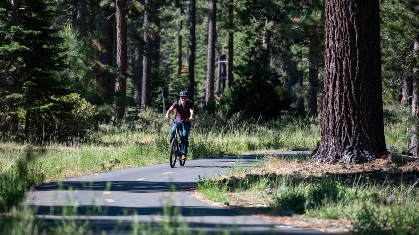 electra townie go! 7d - we were pleasantly surprised by the townie's range with just a 309wh...