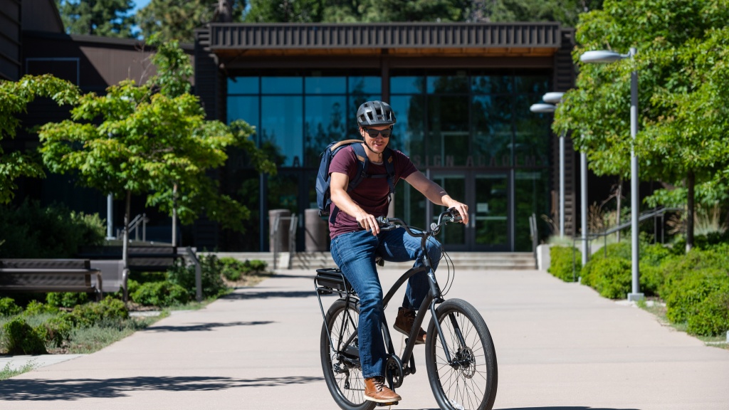 electra townie go! 7d - it's not particularly fancy, but the townie go! is a comfortable...