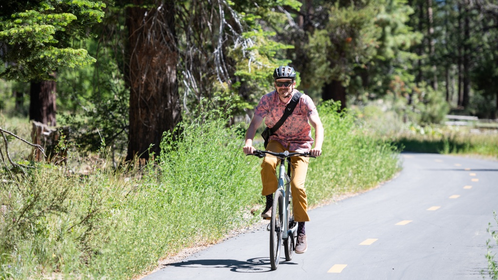cannondale quick neo sl 2 - the cannondale is a great bike for the right rider. we feel it would...