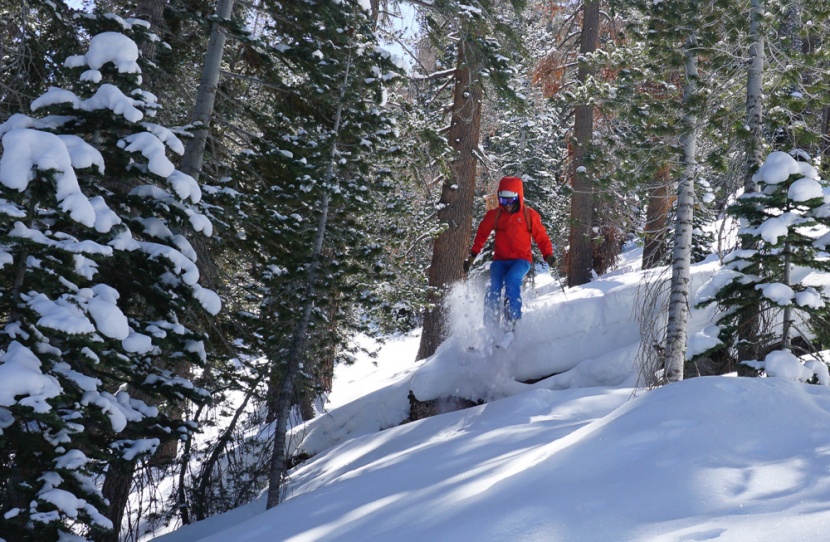 arc'teryx alpha fl - another season of hardshell testing, and another editors' choice...