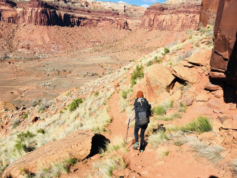 black diamond distance flz for women - the distance flz poles are light enough to go anywhere and burly...