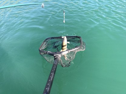 best fishing nets