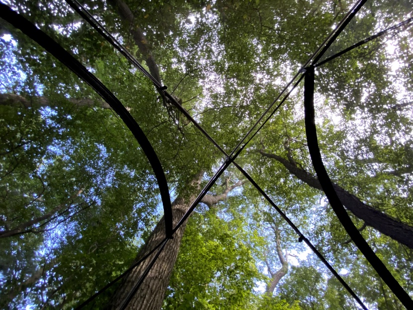 rei co-op passage 3 - the all-mesh canopy facilitates clear skyward views.