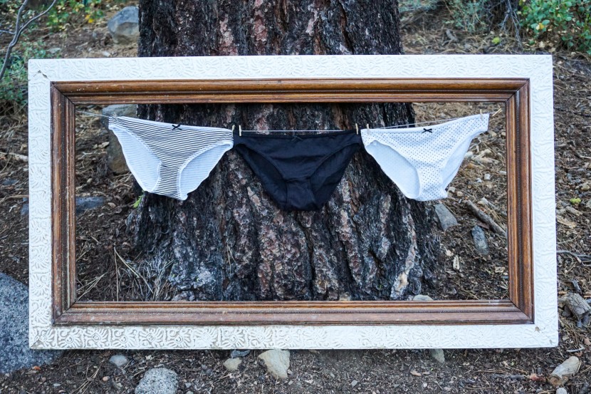 underwear womens - the iris and lilly bikini is a go-to for cute, comfy cotton undies.