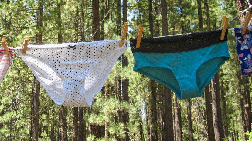 underwear womens - the iris and lilly (left) and the emprella (right) got top scores...