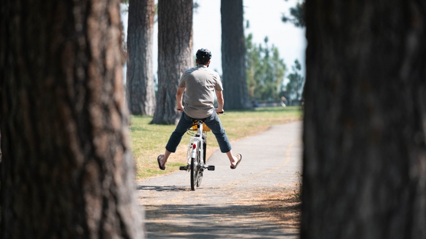 nakto camel 250 - you don't need to pedal the nakto. its throttle can cruise along at...