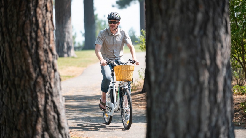 nakto camel 250 - with just one pedal assist level, the nakto is a bit simpler than...