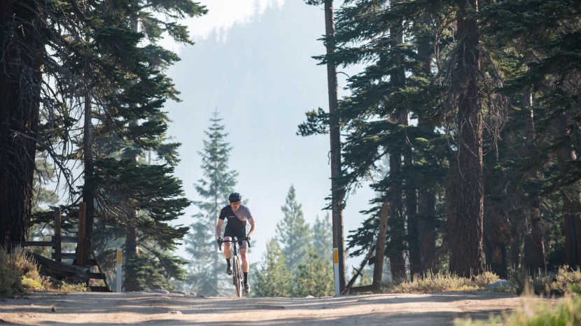 specialized diverge comp carbon - it's a couple pounds heavier than the lightest bikes we tested, but...