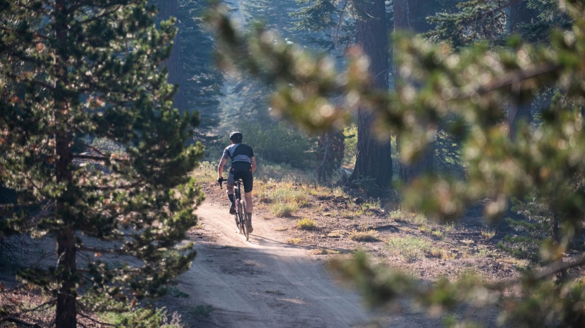 specialized diverge comp carbon - the stiff carbon frame feels fast and efficient, and the future...