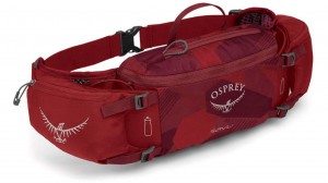 mountain bike hip pack