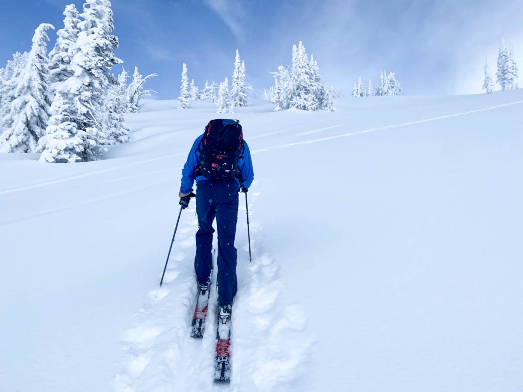 scarpa f1 lt - you pick the f1 lt for high volume, high tempo backcountry skiing...