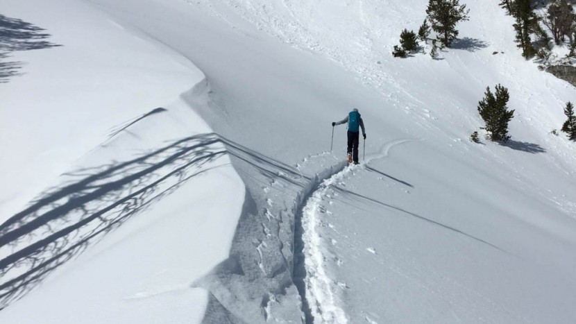 pomoca race back fix - high mileage, high altitude, high energy, cold snow. choose these...