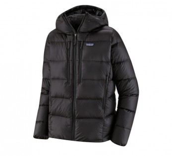Product photo of Patagonia Fitz Roy Hooded